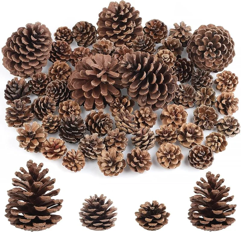 Wlicon 55 Piezas Piñas Naturales Piñas Navideñas Decorativas Grande, Medio, Pequeño Tamaño para Navidad Día De Acción De Gracias Otoño y Regalos DIY — Decoracion Navidad
