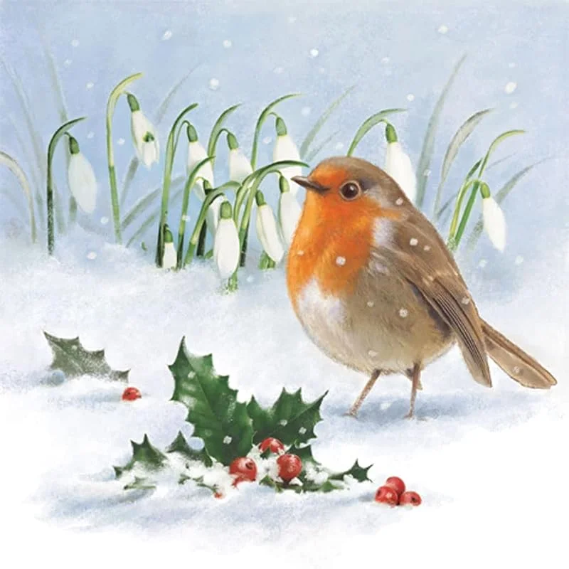 Anniversary House Tiflair - Servilletas de papel de 3 capas con diseño de petirrojos, acebo y campanillas de nieve, gruesas, fuertes, festivas desechables para decoración de mesa de Navidad, paquete — Adviento y mesa