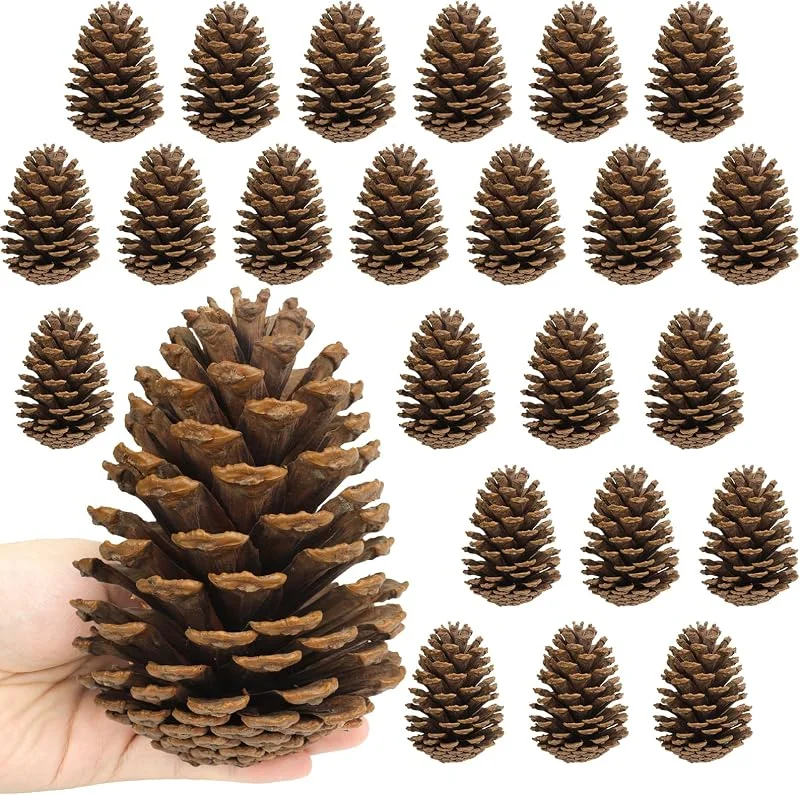Larber 24 Piñas Naturales Grandes, 11-14cm para Árbol de Navidad, Artesanías, Mesas, Rellenos de Jarrones y Decoraciones Invernales (Sin Sabor) — Adviento y mesa