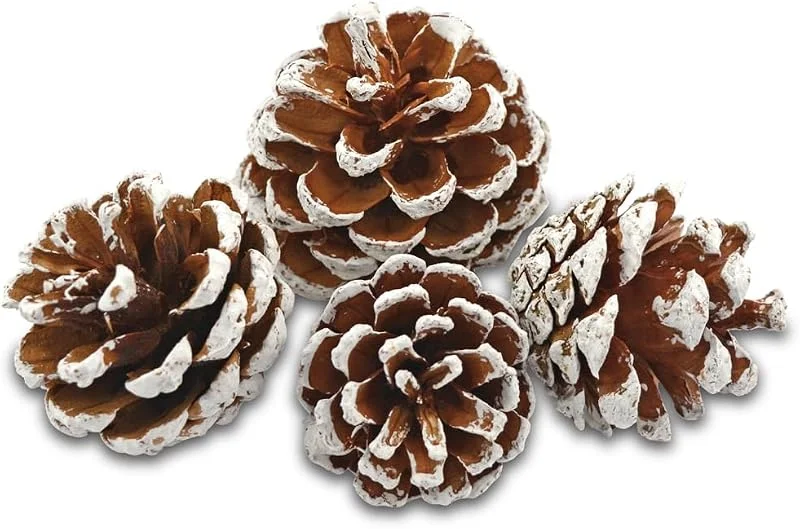 Visita la tienda de EDZARD EDZARD Piñas decorativas blancas (50-90 mm), bolsa de 600 ml — Decoracion Navidad